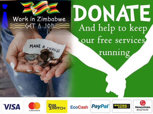 Donate to keep Workinzimbabwe.com running (USD)