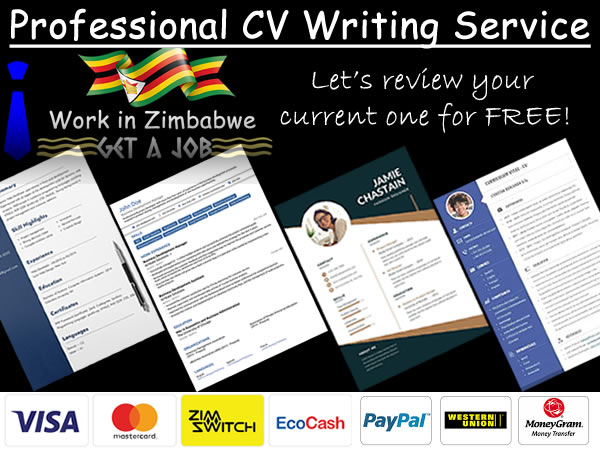 cv writing services zimbabwe